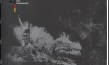 Screenshot aus "Jung-Siegfried (1918)"; Quelle: Bundesarchiv