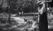Familientreffen in Stuttgart 1917 und in Giengen an der Brenz