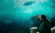 King Ping, Quelle: REX Film, DIF, © Claudia Scheer van Erp