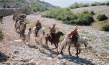 "Die Banditen vom Rio Grande" (1965)