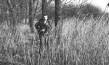 Wildwechsel