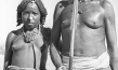 Dämonisches Afrika
