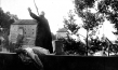 Der Tod von Phaleria