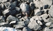 Khadak, Quelle: Farbfilm Verleih, DIF