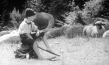 Als ich noch der Waldbauernbub war...