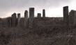 The Other Europeans in: Der zerbrochene Klang