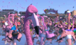 Flamingo Pride