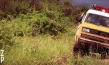 "Vom Kiez zum Kap"; © Maria Pineiro, Brown Sugar Films