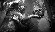 Von Hunden und Pferden