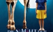 Die Nacht der Giraffe