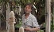 Der blaue Tiger, Quelle: Farbfilm Verleih, DIF, © Farbfilm Verleih