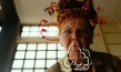 Der blaue Tiger, Quelle: Farbfilm Verleih, DIF, © Farbfilm Verleih