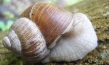 Slow - Langsam ist das neue Schnell