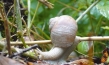 Slow - Langsam ist das neue Schnell