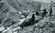 Hayatboyu - Lifelong, Quelle: Peripher Filmverleih, DIF