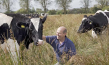 The Moo Man