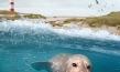 Die Nordsee - Unser Meer