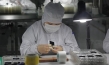 Apple Stories; Quelle: Real Fiction Filmverleih, DIF, © Rasmus Gerlach