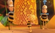 Die Biene Maja - Der Kinofilm, © Studio 100 Media, Buzz Studios, Universum Film