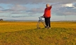 Eisheimat, Quelle: Mindjazz Pictures, DIF