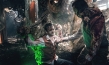 Stung, Quelle: Kinostar Filmverleih, Splendid Film