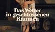 "Das Wetter in geschlossenen Räumen", Movienet Film, DIF