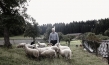 Silentium - Vom Leben im Kloster