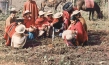 Pachamama - Argentinien, Quelle: Sigrid Reichert-Purrath