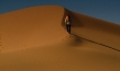 Desert Inspiration