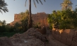 Desert Inspiration