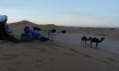 Desert Inspiration