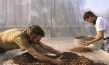 "Wild Plants", Quelle: Real Fiction Filmverleih, DIF, © Close Up Films