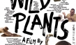 "Wild Plants", Quelle: Real Fiction Filmverleih, DIF