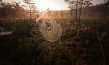 Magie der Moore, © nautilusfilm, polyband Medien