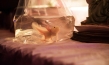 "Axolotl Overkill", © 2017 Constantin Film Verleih GmbH, Lina Grün