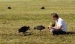 Birds and People - Ganz verrückt auf Vögel, © www.BirdsAndPeople.de