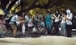 "Da Dog Show", © Queen B productions, san cinema
