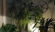 "66 Kinos", Quelle: Flumenfilm, DIF, © Flumenfilm