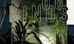 "66 Kinos", Quelle: Flumenfilm, DIF, © Flumenfilm