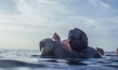 Boat People, Quelle: Filmfestival Max Ophüls Preis 2016, © Art-Media