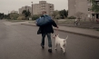 Terrier, © DREIFILM, Hochschule für Fernsehen und Film München