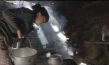 "The Farmer and I"; Quelle: Kinostar Filmverleih, DIF, © fechnerMEDIA
