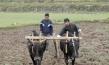 "The Farmer and I"; Quelle: Kinostar Filmverleih, DIF, © fechnerMEDIA