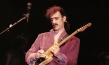 "Frank Zappa - Eat That Question", Quelle: Arsenal Film, Foto: Frank Deimel