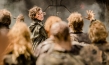"Resident Evil: The Final Chapter", © 2016 Constantin Film Verleih GmbH