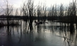 "Trockenschwimmen", Quelle: eksystent distribution, DIF, © Susanne Kim