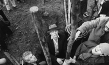 "Beuys", © dokumenta archiv, Dieter Schwerdtle, zero one film
