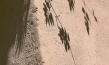 "Didi Contractor - Marrying the Earth to the... ", © individuofilm, Xaras media