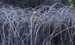 "Leaning into the Wind ", Quelle: Piffl Medien, DIF, © Piffl Medien