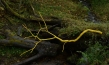 "Leaning into the Wind ", Quelle: Piffl Medien, DIF, © Piffl Medien